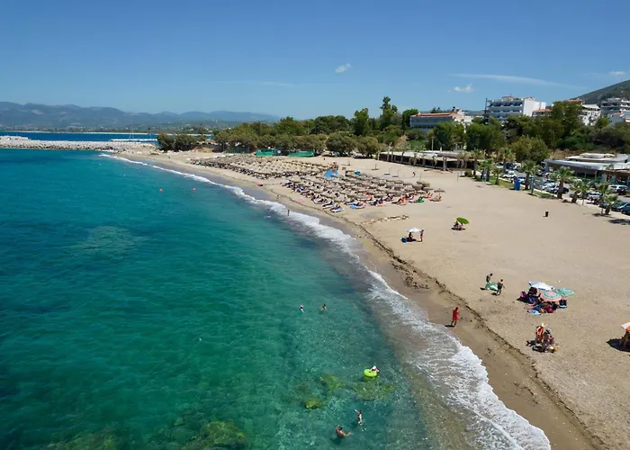 Elegant Beach Hotel